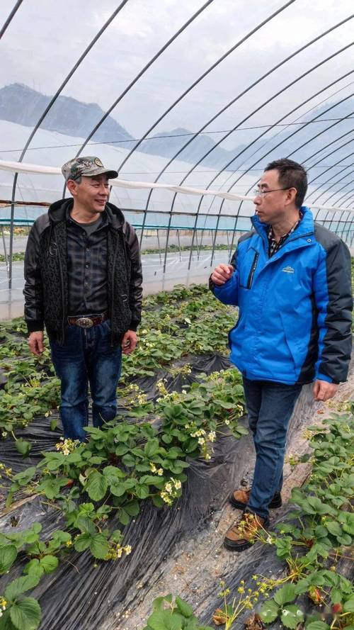 沃土情深 记科技特派员程骅仁与乡亲们的“不舍之约”